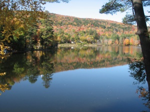 uitzicht op het Green Mountain National Forest | Stratton  VT